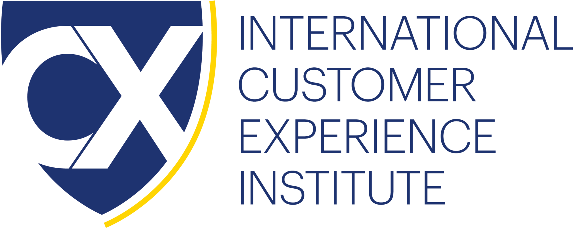 International Customer Experience Institute